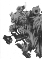 https://www.fredericmalette.com/files/gimgs/th-119_FREDERIC_MALETTE-sublime_inutilite-21x297cm-graphite-2016-18.jpg