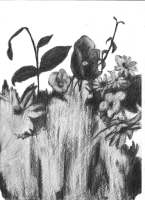 https://www.fredericmalette.com/files/gimgs/th-119_FREDERIC_MALETTE-sublime_inutilite-21x297cm-graphite-2016-21.jpg