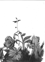 https://www.fredericmalette.com/files/gimgs/th-119_FREDERIC_MALETTE-sublime_inutilite-21x297cm-graphite-2016-22.jpg