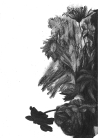 https://www.fredericmalette.com/files/gimgs/th-119_FREDERIC_MALETTE-sublime_inutilite-21x297cm-graphite-2016-7.jpg