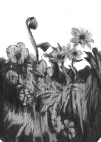 https://www.fredericmalette.com/files/gimgs/th-119_FREDERIC_MALETTE-sublime_inutilite-21x297cm-graphite-2016-8.jpg