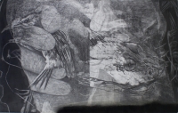 https://www.fredericmalette.com/files/gimgs/th-141_Frederic_Malette-que_les_loups_vivent_le_vent-140x88cm-graphiteencrecolle-Erbree-2019-5_v2.jpg