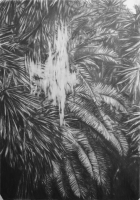 https://www.fredericmalette.com/files/gimgs/th-142_frederic_malette-l_envers_du_possible_3-graphite-70x100cm-2016.jpg