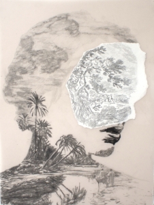 https://www.fredericmalette.com/files/gimgs/th-147_FREDERIC_MALETTE-Bruler_les_fleurs-24x32cm-graphite_sur_calque_et_colle-2023.jpg