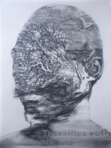 https://www.fredericmalette.com/files/gimgs/th-147_FREDERIC_MALETTE-Travaillez_votre_nature-24x32cm-graphite_sur_calque.jpg